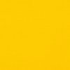 Краска акриловая по шелку "батик" DECOLA 50 мл, 221 Желтая темная NP-4428221