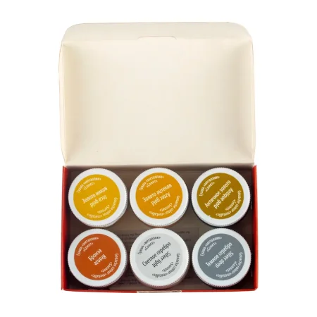 Набор гуаши СОНЕТ металлик 6 шт x 20 мл, картон NP-3641401